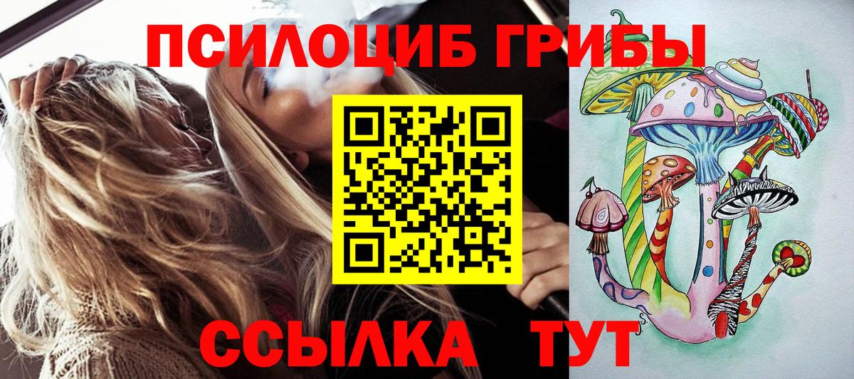 Псилоцибиновые грибы Cubensis Губкин